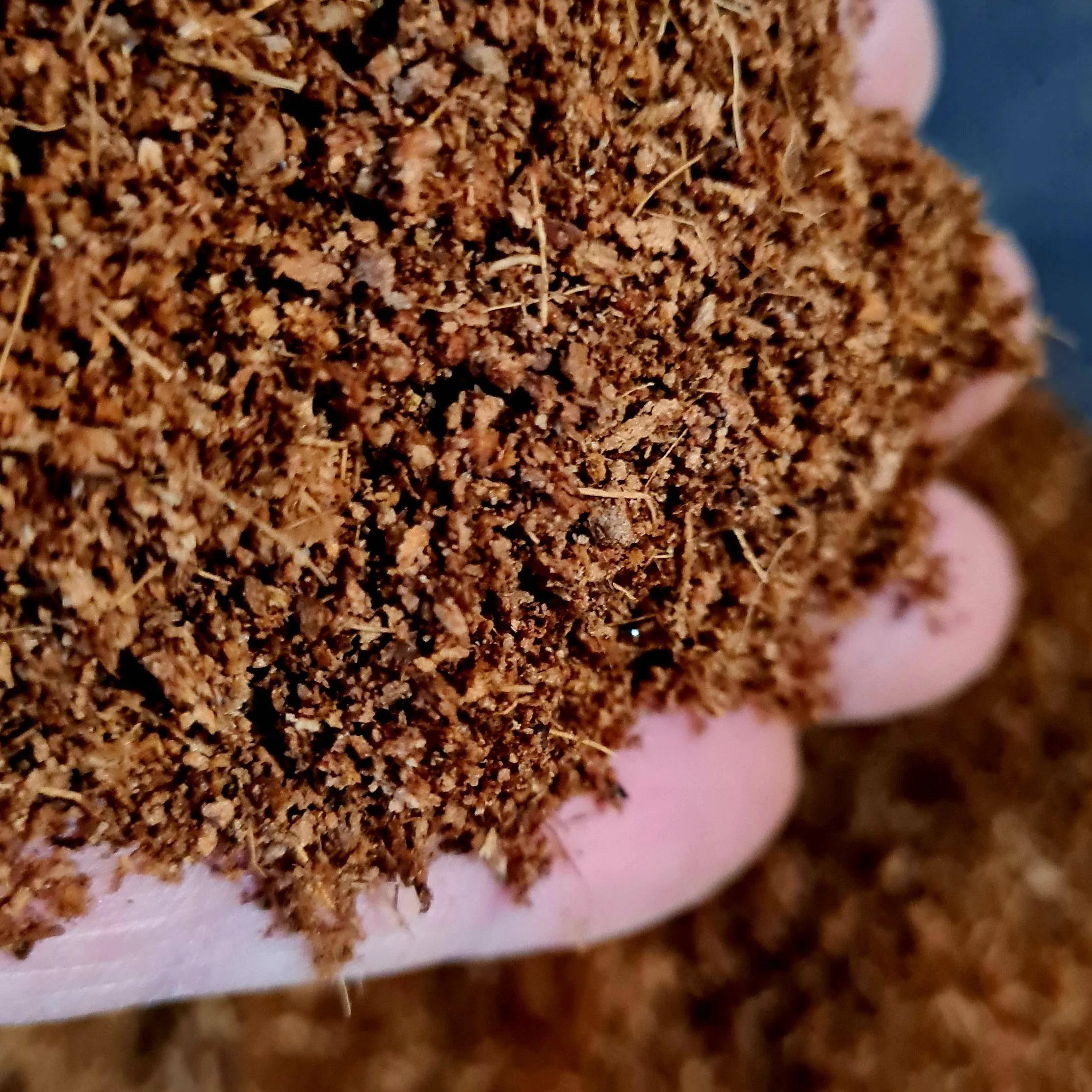 Podłoża dla żółwi: jak stworzyć mu stabilne i bezpieczne środowisko?